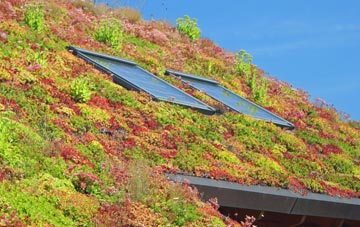 Belluton living roof systems